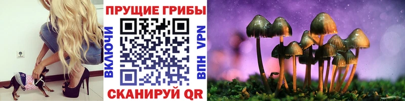 Галлюциногенные грибы мухоморы МЕГА как зайти Порхов